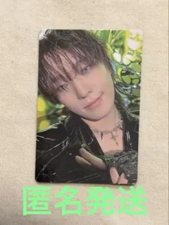 HAPPY BURSTDAY weverse ラキドロ　ディノ