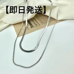 【即日発送】2連 シルバー スネークチェーン ネックレス