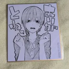 ぶたねこ様 リクエスト 2点 まとめ商品