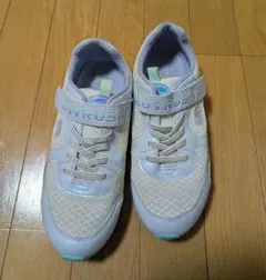 Item thumbnail for item 2444a51f-58e1-4b40-bf4d-c5e67a748b10