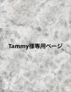 Tammy様専用ページ