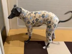 イタグレ服　ボア　ロンパース　ハンドメイド