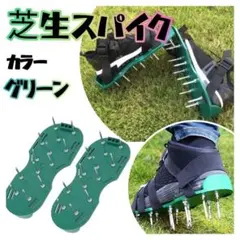 芝生スパイク ガーデンスパイク　園芸　お手入れ　グリーン 　1275　oxt