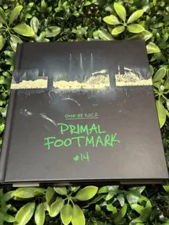 ONE OK ROCK PRIMAL FOOTMARK #14 シリアルコード有