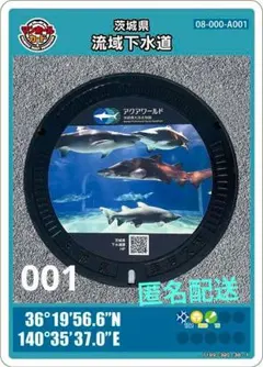 Item thumbnail for item e787a6f7-9e52-4398-be3e-4e2bbd8bbb1c