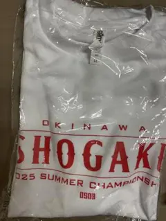 沖縄尚学Tシャツ サイズLL