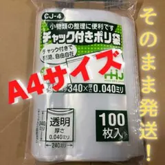 Item thumbnail for item 01fdf6f8-0396-4257-9517-3cce8742f170