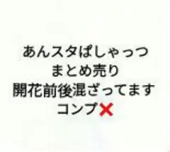 あんスタぱしゃっつ まとめ売り