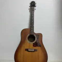 2026年最新】epiphone dr-100の人気アイテム - メルカリ