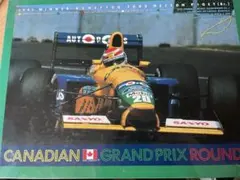 F1 アイルトンセナ ジグソーパズル 完成品 - メルカリ