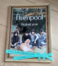 flumpool virginal year バンドブック
