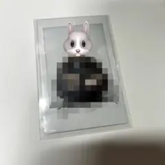 リノ チェキ エコパ fcくじ スキズ 静岡 会場限定 直筆サイン c賞 トレカ