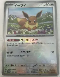 2025年最新】イーブイex マスターボールの人気アイテム - メルカリ