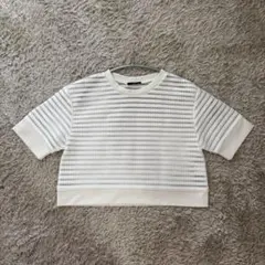 エモダ メッシュ ボーダー カットソー 白 ショート丈 クロップド 半袖 Sのサムネイル