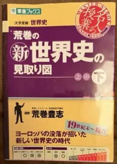 荒巻の(新)世界史の見取り図 : 大学受験世界史 下巻