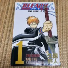 BLEACH ブリーチ 1巻 2版