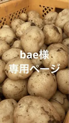 bae様　専用ページ