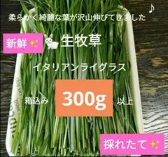 Item thumbnail for item c7dedb89-9e62-425e-8ad3-b572a5f08552