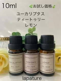 ✨ユーカリプタス・ティトゥリー・レモン 10mlお部屋の空気清浄・感染対策のサムネイル