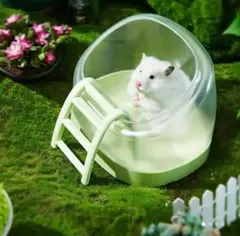 Item thumbnail for item 0c224b98-6a87-44d0-9114-5693fada8bda