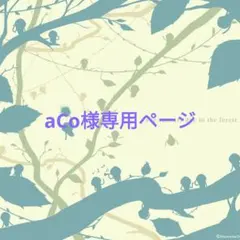 aCo様 リクエスト 8点 まとめ商品