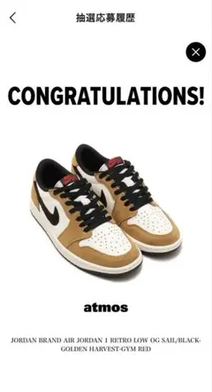 nike Air Jordan 1 Low Rookie of theYear