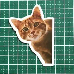 ☆彡GACKT大好き☆彡様 リクエスト 5点 まとめ商品