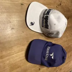 Item thumbnail for item d00dc256-de8b-4cc6-a85a-f1d7adcb9347