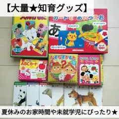 【大量知育セット】カードであいうえお 犬棒かるた えあわせ ひらがな