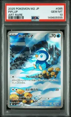 ポッチャマ AR PSA10 M2 085/080 インフェルノX