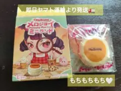 新品未使用 Mellojoy メロジョイ ミニランド スフレ サーモン 2セット