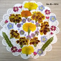 MIO₍ᐢ. ̫ .ᐢ₎様専用／値段交渉可✌︎様 リクエスト 2点 まとめ商品