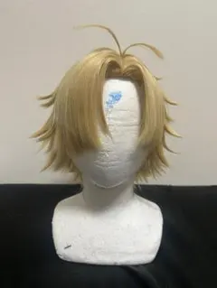 桃源暗鬼 等々力颯 コスプレ ウィッグ - メルカリ