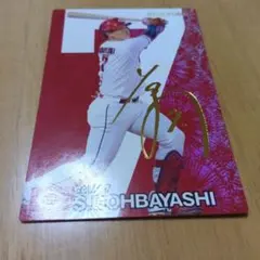 Item thumbnail for item 66532e30-12f2-4f2f-99c0-88431e9f3cdf