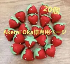 Akemi Oka様専用ページ