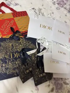 Dior Louis Vuittonショップ袋 セット