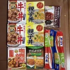 牛丼　親子丼　リゾッドリア　カレー　ハヤシ　パスタ　9点のサムネイル