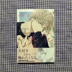 【新品①】きみの春花 3／有馬嵐