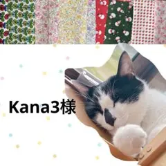 Kana3様 リクエスト 2点 まとめ商品