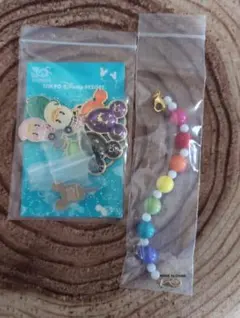 未開封　東京ディズニーリゾート ストラップセット　30周年記念