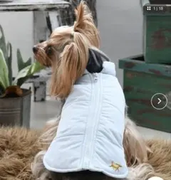 ロペピクニック犬用ダウン　犬アフター　ドック服　新品開封のみ2xsプードルのサムネイル