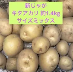 【ホクホク甘い♪】 新じゃが キタアカリ 約1.4kgのサムネイル