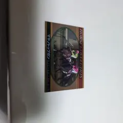 サラブレッドカードHORSE COLLECTION マヤノトップガン