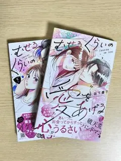 「むせるくらいの愛をあげる」１～３巻