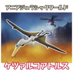 Item thumbnail for item 3bcc9ff7-ae39-46dd-8905-69c8513ad3dc