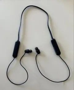 2026年最新】ソニー SONY ワイヤレスイヤホン WI-C300 : Bluetooth対応