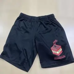 マインクラフト　TNT ハーフパンツ