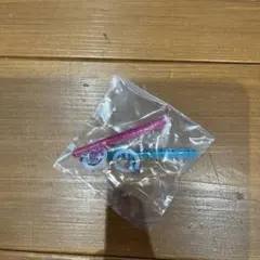 楽器 ミニチュア フルート キーホルダー 2点セット