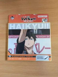一番くじ 劇場版ハイキュー!!ゴミ捨て場の決戦2 F賞 色紙　影山飛雄
