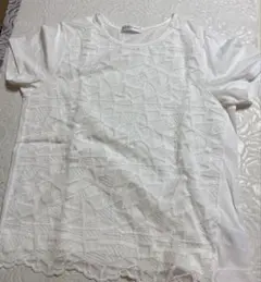 Item thumbnail for item 2840015c-da20-4467-b3aa-be9e55573566